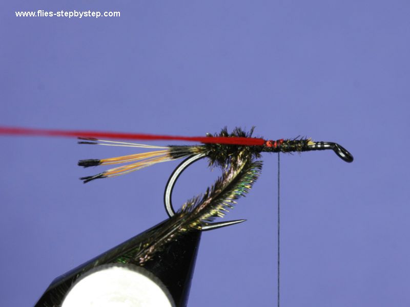 Royal Coachman classic wet fly pattern How to tie fly, Fly tying Step